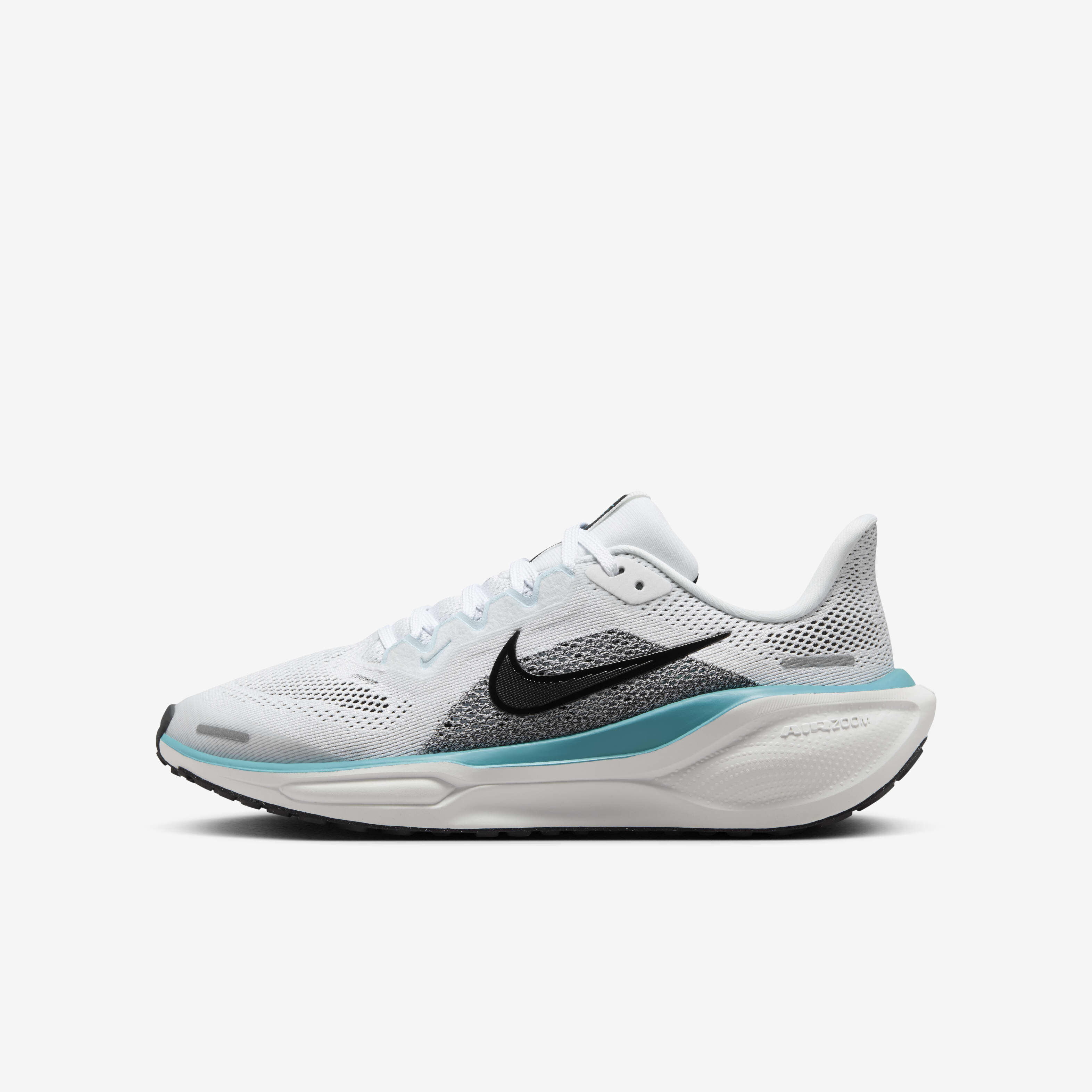 Nike Pegasus 41